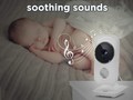 related-items