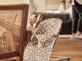 related-items